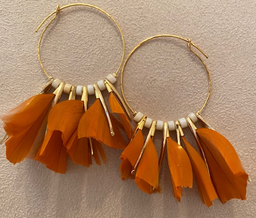 [3664384138826] AMARLY/PM/O/PL